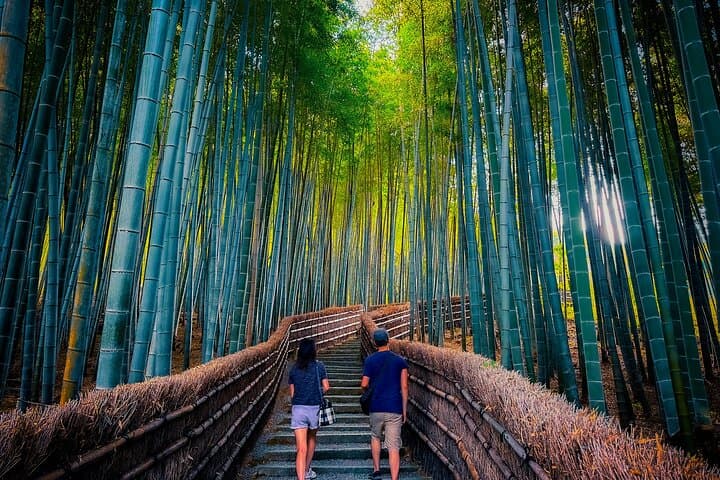 Kyoto Highlights & Hidden Gems in Nature (Private Van Eng-Guide) — photo 12