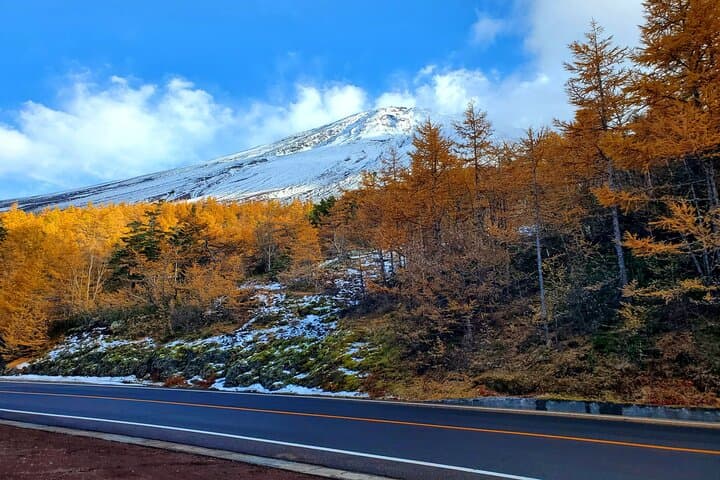 Mount Fuji Full-Day Private Tour from Tokyo (Customizable) — photo 20