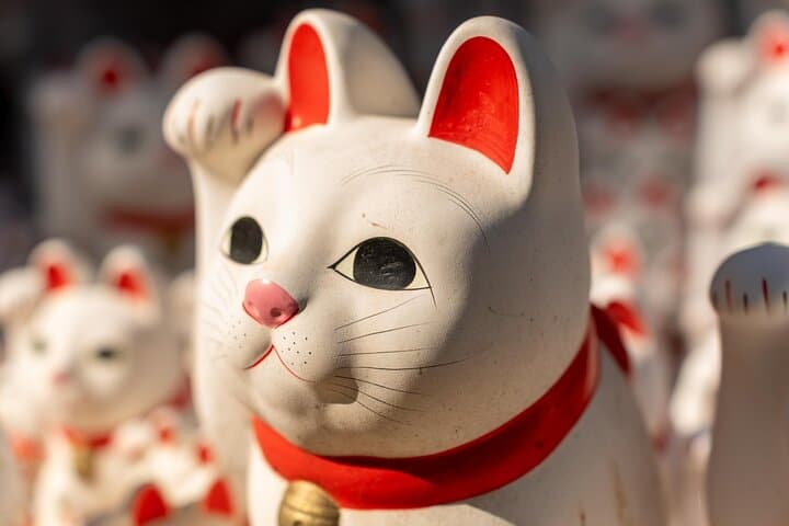 3 Hours Photography and Food Tour in Setagaya — photo 4