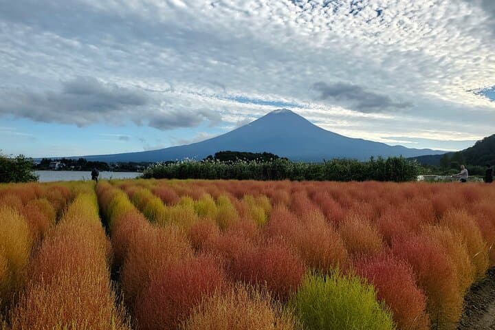 Mount Fuji Full-Day Private Tour from Tokyo (Customizable) — photo 18