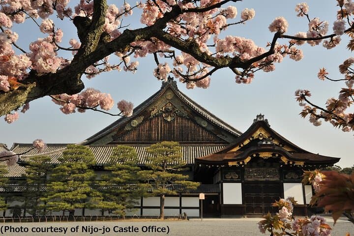 Kyoto 1 Day Tour from Kyoto — photo 2