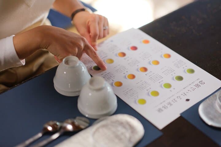 Real Tea Experience in Takayama with Expert Guide — photo 3