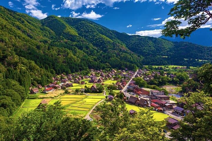 Full Day Private Tour in Takayama and Shirakawago — photo 2