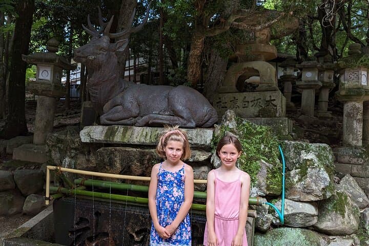 E-Bike Nara Highlights - Todaiji, Knives, Deer, Shrine, and Gems — photo 7