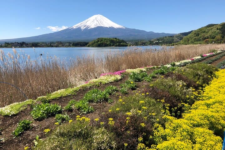 Full Day Mt.Fuji Tour , From/To Tokyo, Yokohama, 2- 12 guests — photo 5