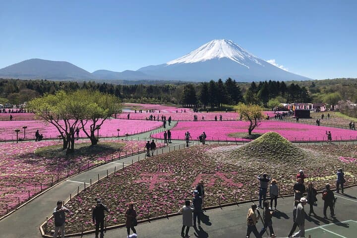Full Day Mt.Fuji Tour , From/To Tokyo, Yokohama, 2- 12 guests — photo 9