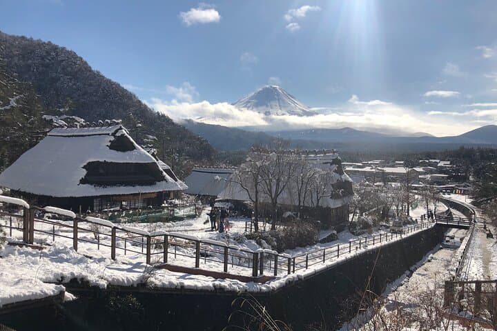 Full Day Mt.Fuji Tour , From/To Tokyo, Yokohama, 2- 12 guests — photo 8