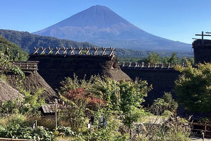 Full Day Mt.Fuji Tour , From/To Tokyo, Yokohama, 2- 12 guests — photo 12