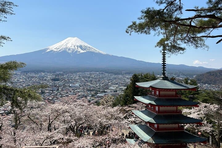 Full Day Mt.Fuji&Hakone Tour, From-To Tokyo, Yokohama, 2-12guests — photo 2