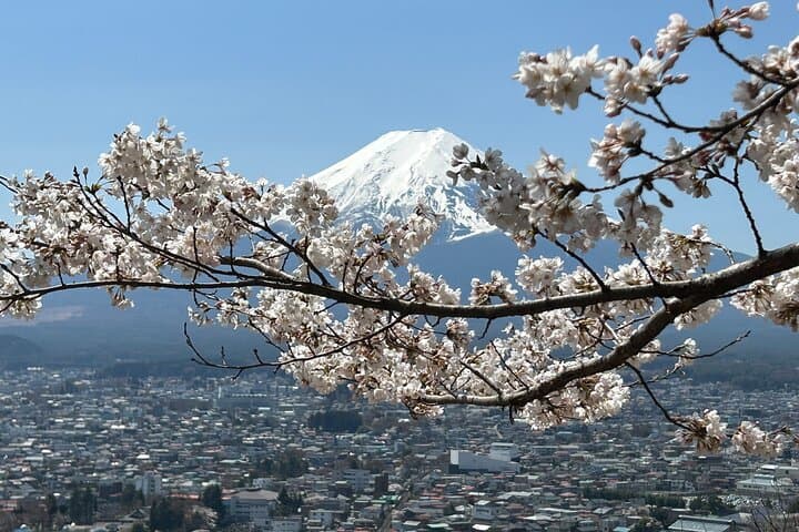 Full Day Mt.Fuji Tour , From/To Tokyo, Yokohama, 2- 12 guests — photo 13