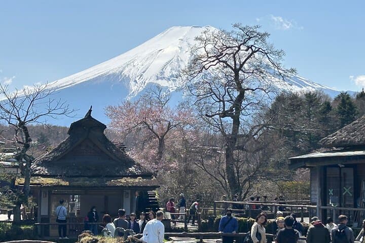 Full Day Mt.Fuji Tour , From/To Tokyo, Yokohama, 2- 12 guests — photo 14