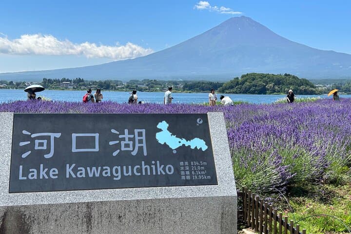Full Day Mt.Fuji Tour , From/To Tokyo, Yokohama, 2- 12 guests — photo 15
