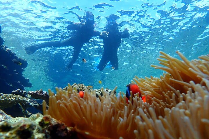 Okinawa Ishigaki Phantom Island and Blue Cave Snorkeling — photo 17