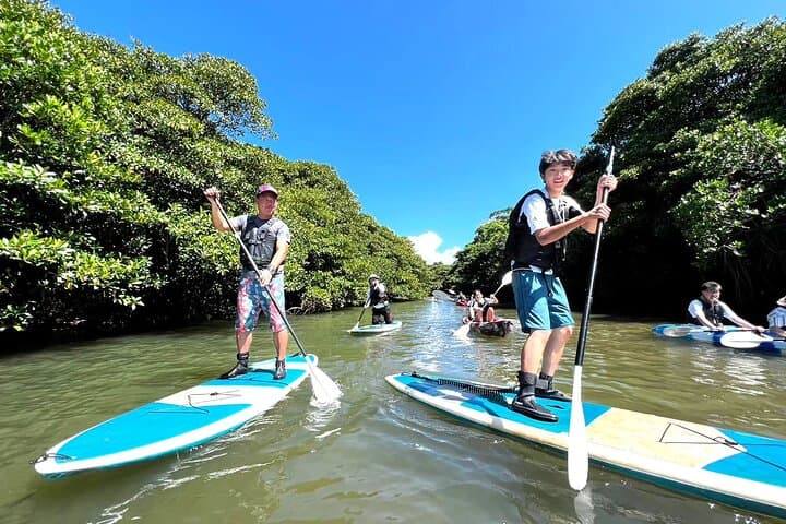 Okinawa Ishigaki Mangrove SUP or Canoe Tour — photo 18