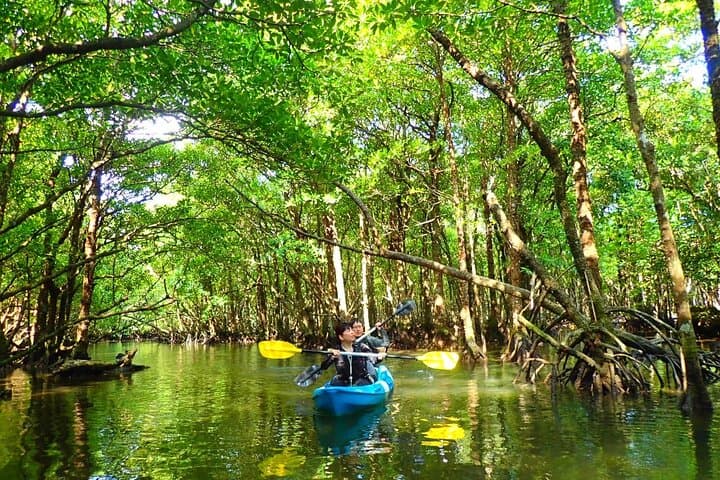 Ishigaki Mangrove SUP or Canoeing and Phantom Island Snorkeling — photo 9