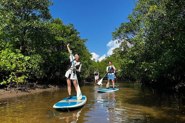 Ishigaki Mangrove SUP or Canoeing and Phantom Island Snorkeling — photo 10