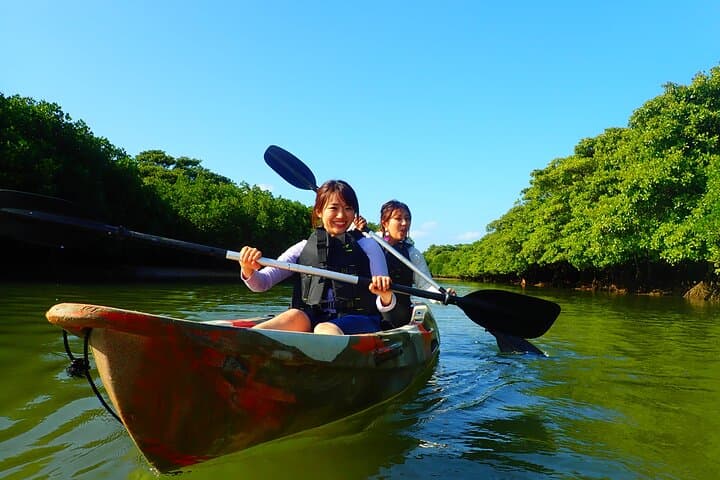 Okinawa Ishigaki Mangrove SUP or Canoe Tour — photo 13