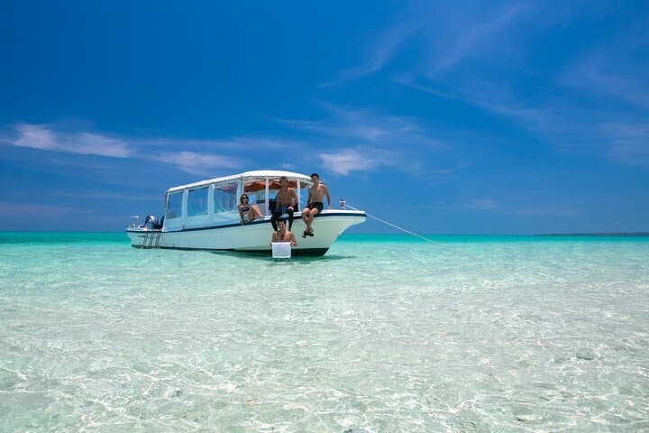 Ishigaki Mangrove SUP or Canoeing and Phantom Island Snorkeling — photo 3