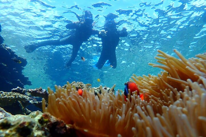 Ishigaki Phantom Island Snorkeling ＆ Kabira Bay SUP or Canoeing — photo 19