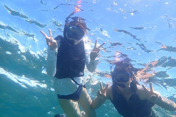 Ishigaki Phantom Island Snorkeling Taketomi Island Sightseeing — photo 17