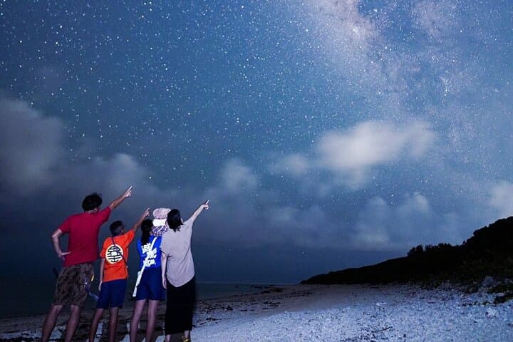 Okinawa Ishigaki Island Night Starry sky and Jungle night tour — photo 8
