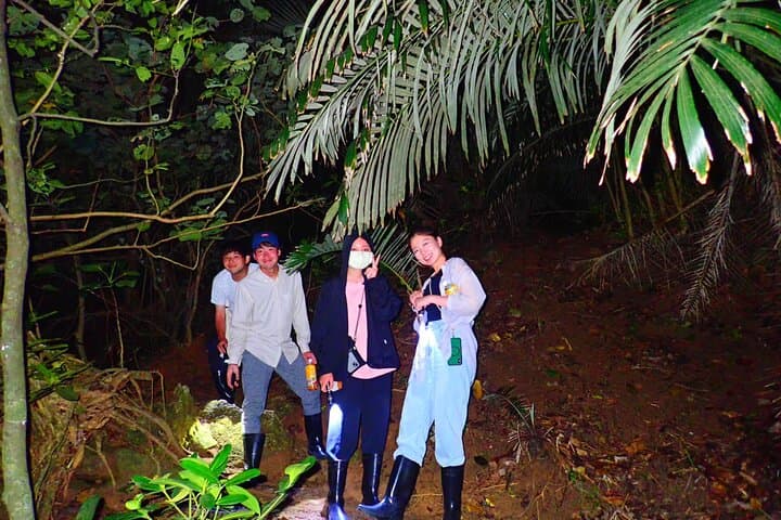 Okinawa Ishigaki Island Night Starry sky and Jungle night tour — photo 12