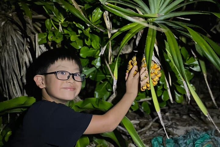 Okinawa Ishigaki Island Night Starry sky and Jungle night tour — photo 5