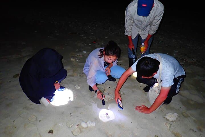 Okinawa Ishigaki Island Night Starry sky and Jungle night tour — photo 14