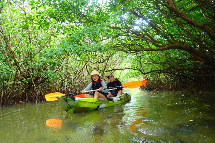 Okinawa Ishigaki Mangrove SUP or Canoe Tour — photo 11