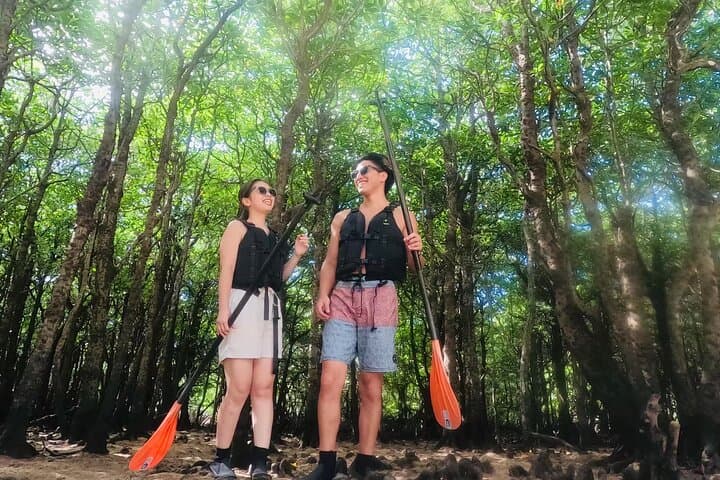 Okinawa Ishigaki Mangrove SUP or Canoe Tour — photo 10