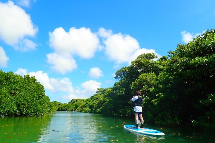 Okinawa Ishigaki Mangrove SUP or Canoe Tour — photo 16