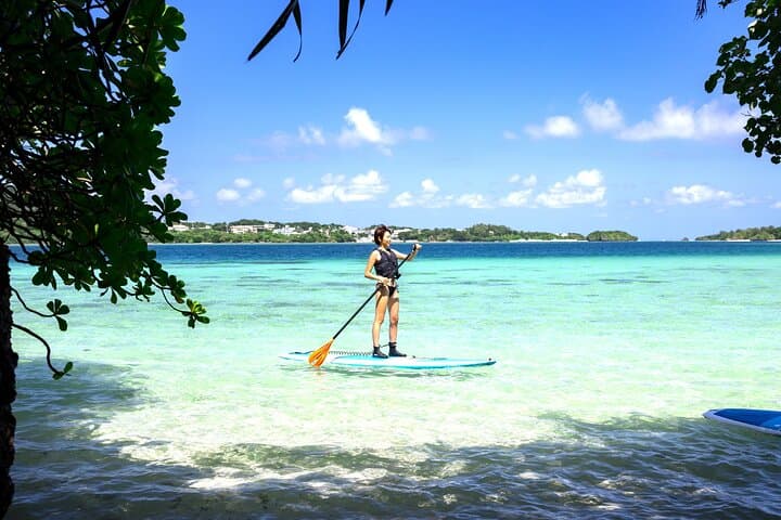 Okinawa Ishigaki Kabira Bay SUP or Canoe Tour — photo 15