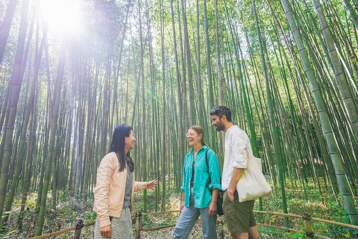 Kyoto Arashiyama Bamboo forest & Hidden Garden Walking Tour — photo 2