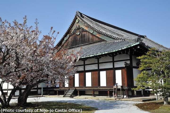 Kyoto and Nara Day Trip from Osaka — photo 2