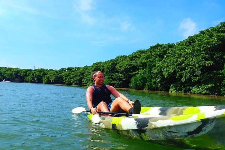 Okinawa Ishigaki Mangrove SUP or Canoe Tour — photo 6