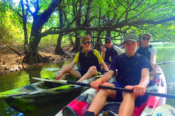 Okinawa Ishigaki Mangrove SUP or Canoe Tour — photo 7