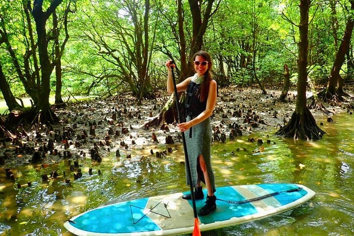 Okinawa Ishigaki Mangrove SUP or Canoe Tour — photo 3