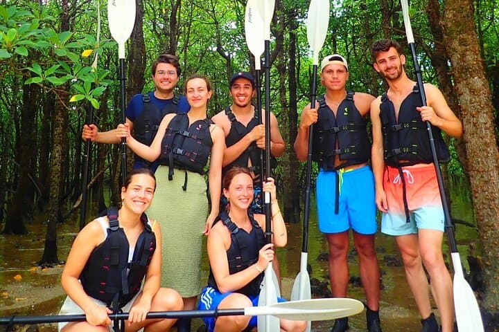 Okinawa Ishigaki Mangrove SUP or Canoe Tour — photo 8