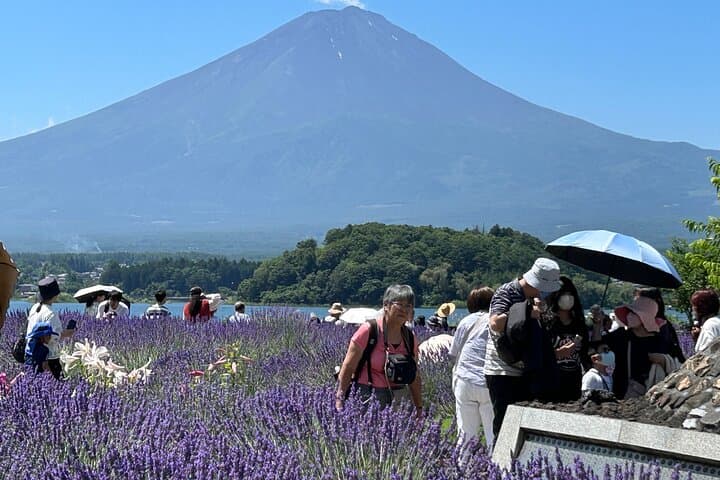 Full Day Mt.Fuji&Hakone Tour, From-To Tokyo, Yokohama, 2-12guests — photo 9
