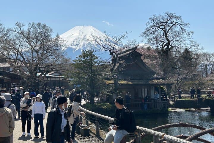 Full Day Mt.Fuji&Hakone Tour, From-To Tokyo, Yokohama, 2-12guests — photo 20