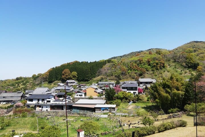 Ancient Nara Walking and Cycling Tour in Asuka — photo 2