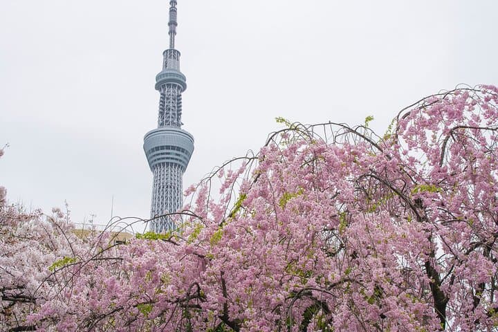 Japan eSIM - Data from 1 GB per day to 5GB — photo 4