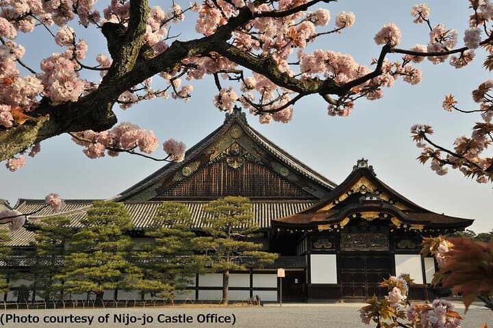 Kyoto Morning Tour from Kyoto or Osaka — photo 3