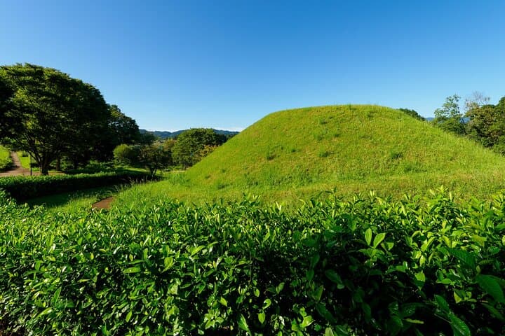 Ancient Nara Walking and Cycling Tour in Asuka — photo 10