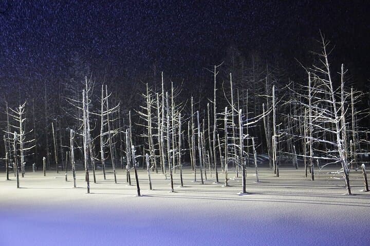 [Biei/Furano] One-day sightseeing by private car! — photo 20