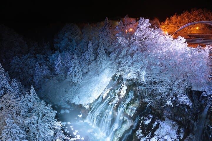 【Private Car】Asahiyama Zoo, Blue Pond, Shirahige Falls, Ningle Terrace (from Sapporo) — photo 11