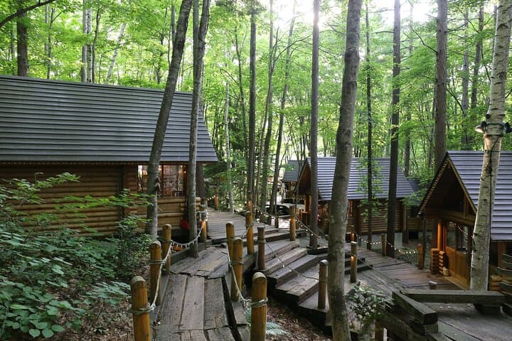 【Private Car】Asahiyama Zoo, Blue Pond, Shirahige Falls, Ningle Terrace (from Sapporo) — photo 13