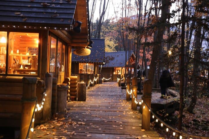 【Private Car】Asahiyama Zoo, Blue Pond, Shirahige Falls, Ningle Terrace (from Sapporo) — photo 5