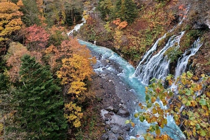 【Private Car】Asahiyama Zoo, Blue Pond, Shirahige Falls, Ningle Terrace (from Sapporo) — photo 9