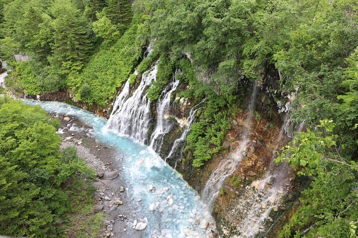 【Private Car】Asahiyama Zoo, Blue Pond, Shirahige Falls, Ningle Terrace (from Sapporo) — photo 10